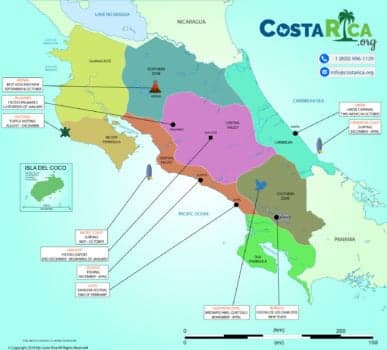Best Time to Visit Costa Rica