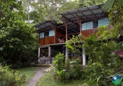 Bosque del Rio Tigre Exterior