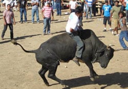 Costa Rica Bull Riding