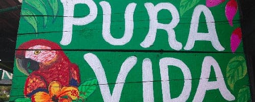 Pura Vida