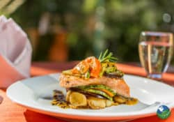 Restaurant Sueños del Bosque