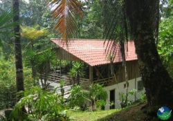 Selva Bananito Lodge