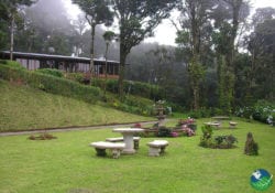 Trapp Family Lodge Garden