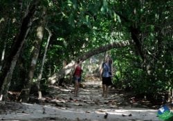 cahuita national park