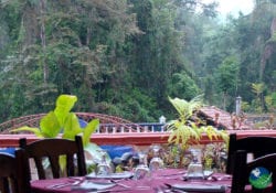 Congo Restaurant San Bada