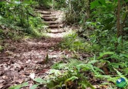 Hiking Trails Cabanas Los Pinos