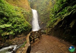 La Paz Waterfall Gardens The Peace Lodge