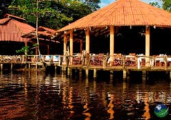 Riverside Bar Laguna Lodge Tortuguero