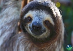 Costa Rica Attractions and Costa Rica Points of Interest