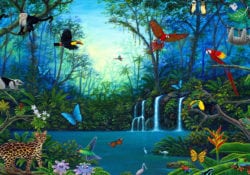 Up and coming artists