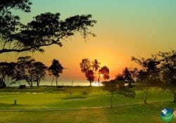 Campo de Golf La Iguana Costa Rica