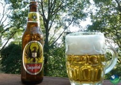 Imperial Beer