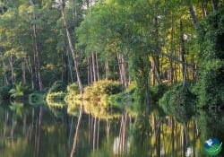 Carara National Park