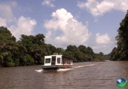 Tortuguero Boat Tour