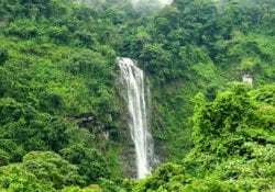 Diamante Waterfall Costa Rica