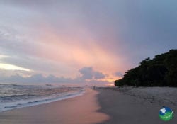 Santa Teresa Beach Costa Rica Nicoya Peninsula in Costa Rica Eine bezaubernde Destination