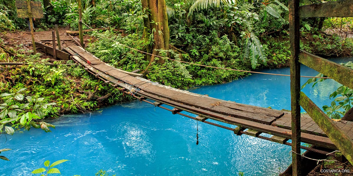 10 Fascinating Facts About Costa Rica Rain Forests