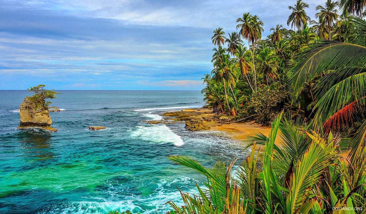 Gandoca Manzanillo Wildlife Refuge on Costa Ricas Caribbean Coast