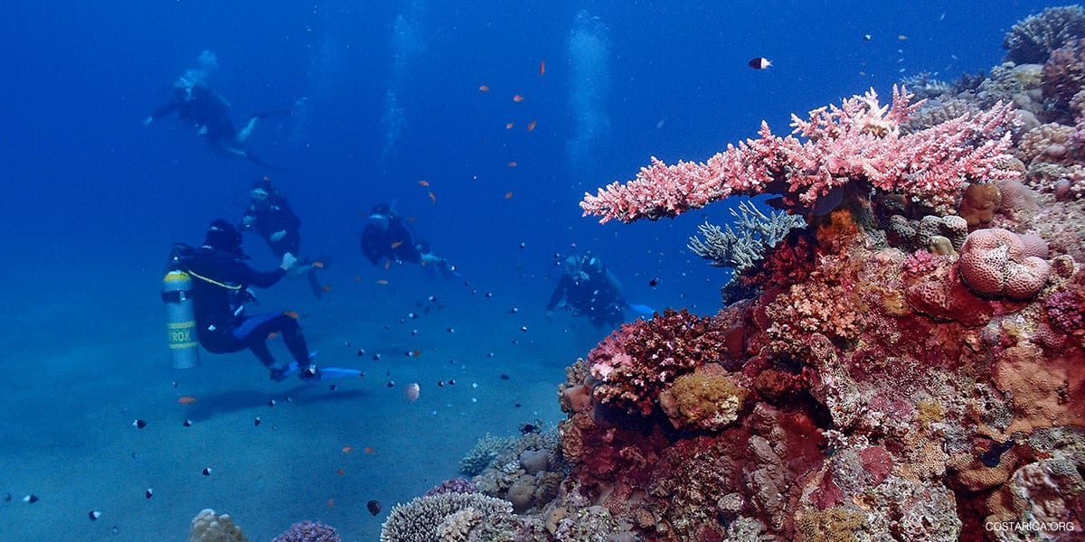 dive reel - Scuba diving Costa Rica