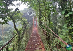 Senda Monteverde Skywalk