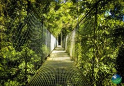 Arenal Hanging Bridges