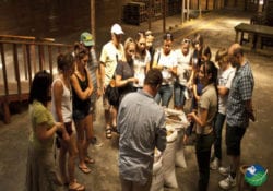 Sarchi espirtu coffee