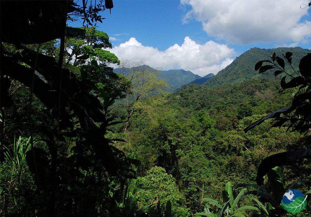 Talamanca Mountains