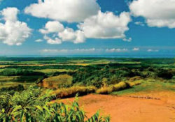 Costa Rica Real Estate